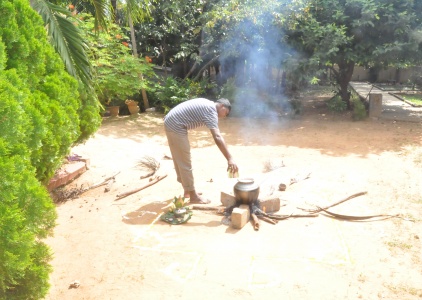 1 Celebration of ‘Thai Pongal’ .JPG