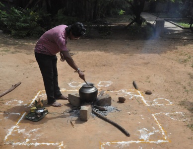 2 Celebration of ‘Thai Pongal’ .JPG